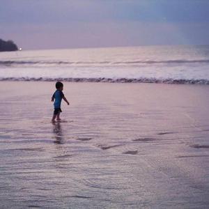 蜜桃传媒在线无码影片
