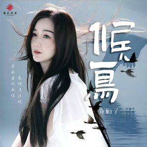 抖阴app入口免费
