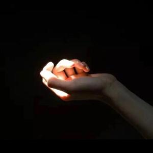 女人与狗乱伦视频
