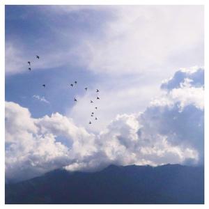 小县城脱身舞表演三
