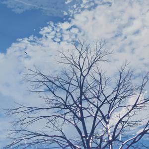 高清乱码🔞❌♋现场看
