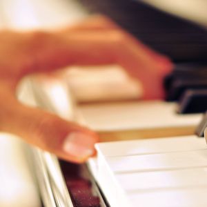 女人与狗乱伦视频
