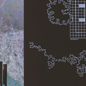 黄色电影网站下载
