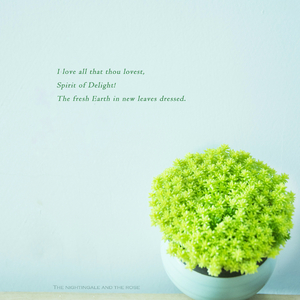 国产精品自在线拍
