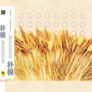 广东少妇和黑人做爱
