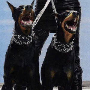 熟女玩小男生的小嫩茎视频
