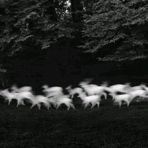 九九热最新获取地址
