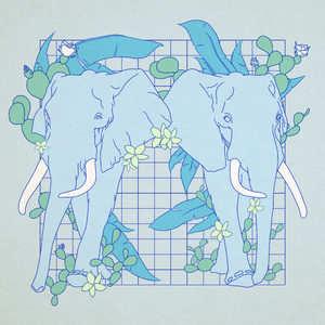 A级毛片免费看69影院
