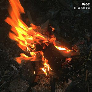 蜜桃传媒在线无码影片
