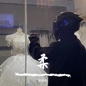 坠落名模AV日记在线观看
