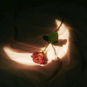 三级黄色片免费
