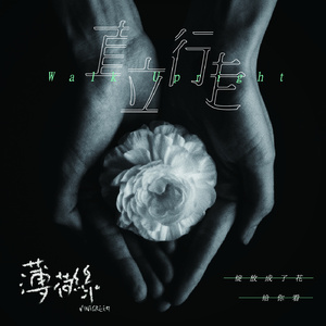 坠落名模AV日记在线观看
