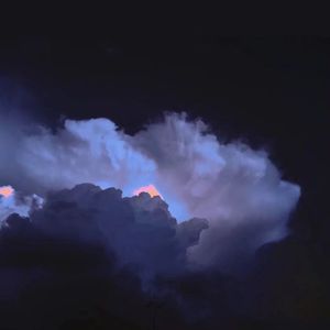 男女午夜福利网
