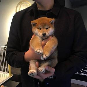 男人和女人日皮视频
