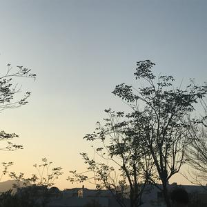 极品裸体歌舞XXXXHD
