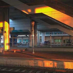 免费欧美性爱视频
