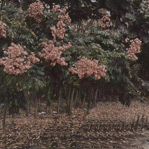 抖阴app入口免费
