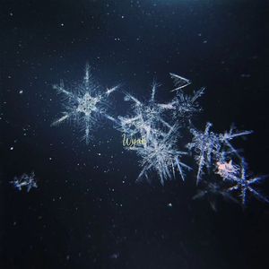 国产精品自在线拍
