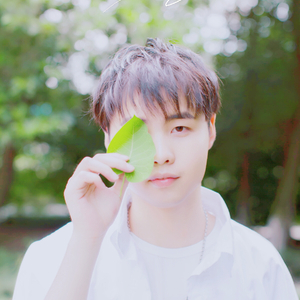 面具公社网页原神版
