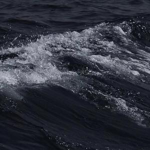 舞蹈生被打光屁股
