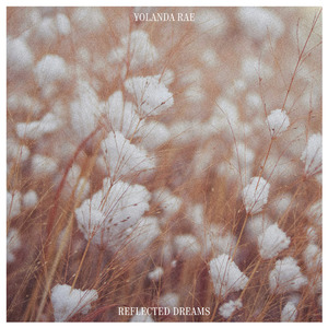 国产精品自在线拍
