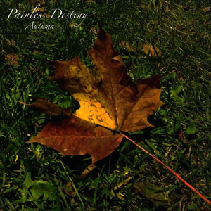 蜜桃传媒在线无码影片
