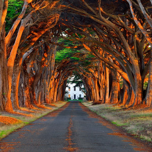 抖阴app入口免费
