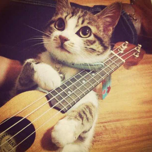 免费欧美性爱视频
