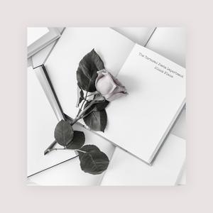 中文字幕无码乱人伦一区二区三区
