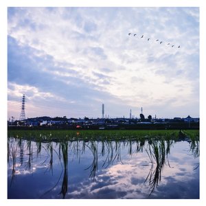 男人和女人日皮视频
