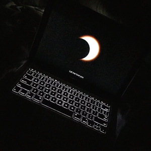 免费欧美性爱视频
