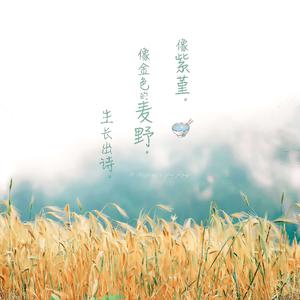 女人与狗乱伦视频
