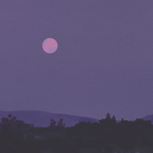 双飞麻将馆老板娘的背景资料
