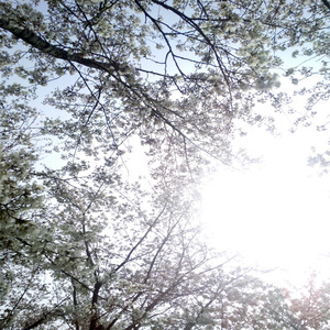 男人和女人日皮视频
