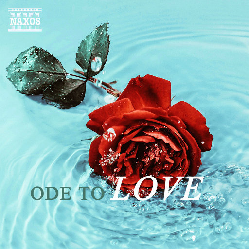 黄色电影网站下载
